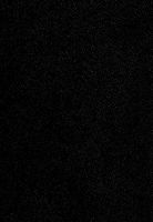 Reformiertes Kirchengesangbuch (RKG) Reformiertes Kirchengesangbuch (RKG)