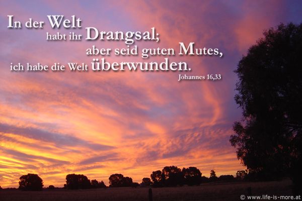 In der Welt habt ihr Bedrängnis; aber seid guten Mutes, ich habe die Welt überwunden. Johannes 16,33 - Bildquelle: pixelio.de