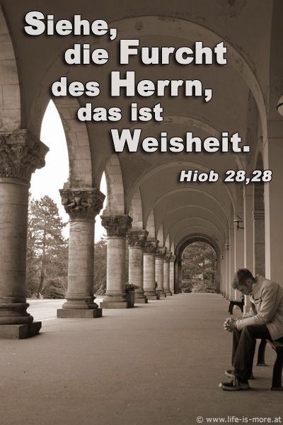 Siehe, die Furcht des Herrn, das ist Weisheit. Hiob 28,28 - Bildquelle: pixelio.de