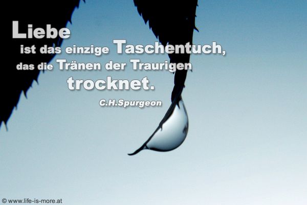 Liebe ist das einzige Taschentuch, das die Tränen der Traurigen trocknet. Charles Haddon Spurgeon - Bildquelle: pixelio.de