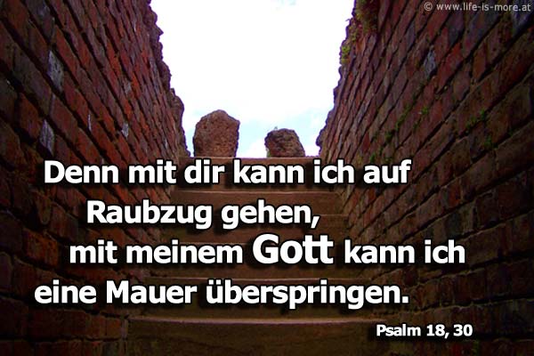 Denn mit dir kann ich auf Raubzug gehen, mit meinem Gott kann ich eine Mauer überspringen. Psalm 18,30 - Bildquelle: pixelio.de