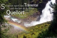 Sie gehen durch das Tränental und machen es zu einem Quellort. (Psalm 84,7)