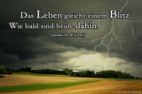 Das Leben gleicht einem Blitz. Wie bald sind beide dahin. (Japanische Weisheit)