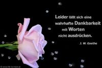 Leider läßt sich eine wahrhafte Dankbarkeit mit Worten nicht ausdrücken.  (Johann Wolfgang von Goethe)