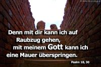 Denn mit dir kann ich auf Raubzug gehen, mit meinem Gott kann ich eine Mauer überspringen. (Psalm 18,30)